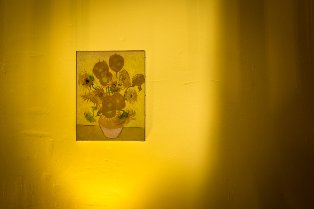 WLM-room-2-painting-bed-breakfast-Arles